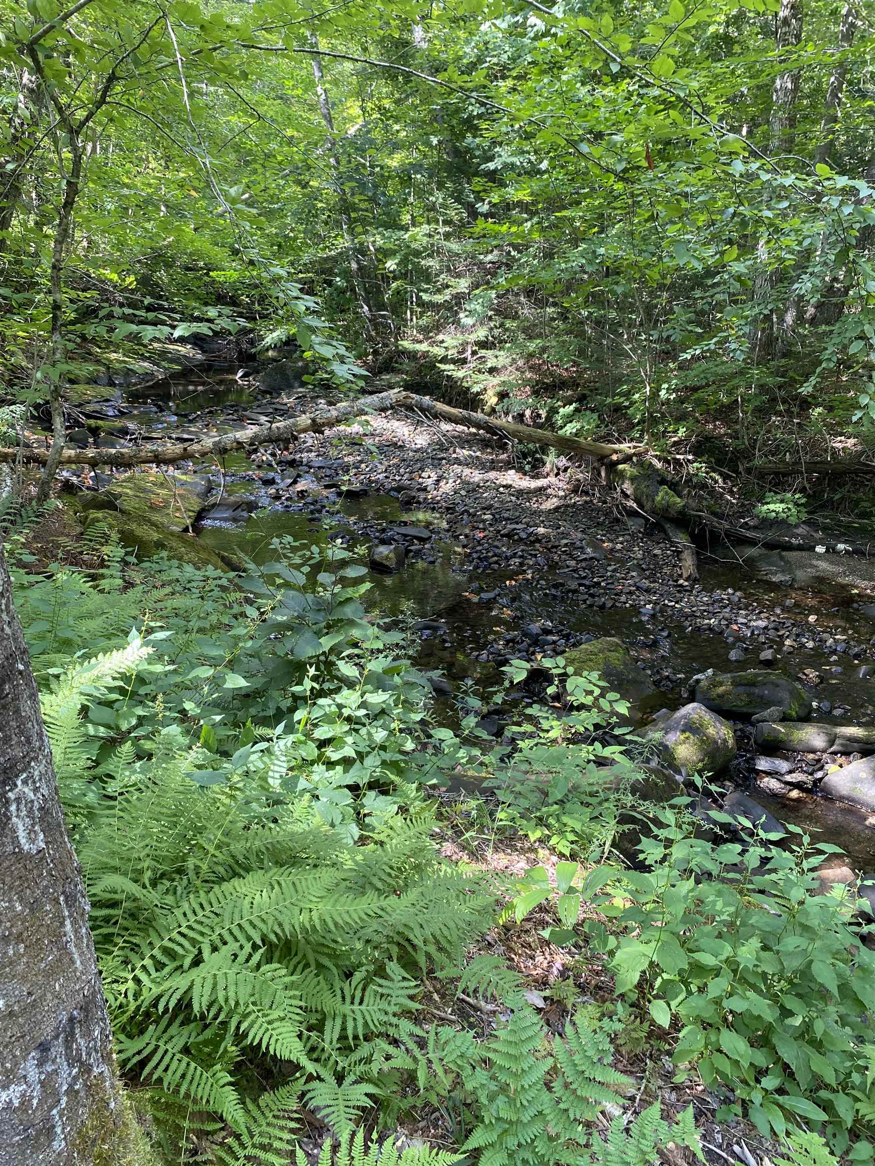 Lot # Jug Brook Road Marshfield, VT 05658 - Photo 3 of 7