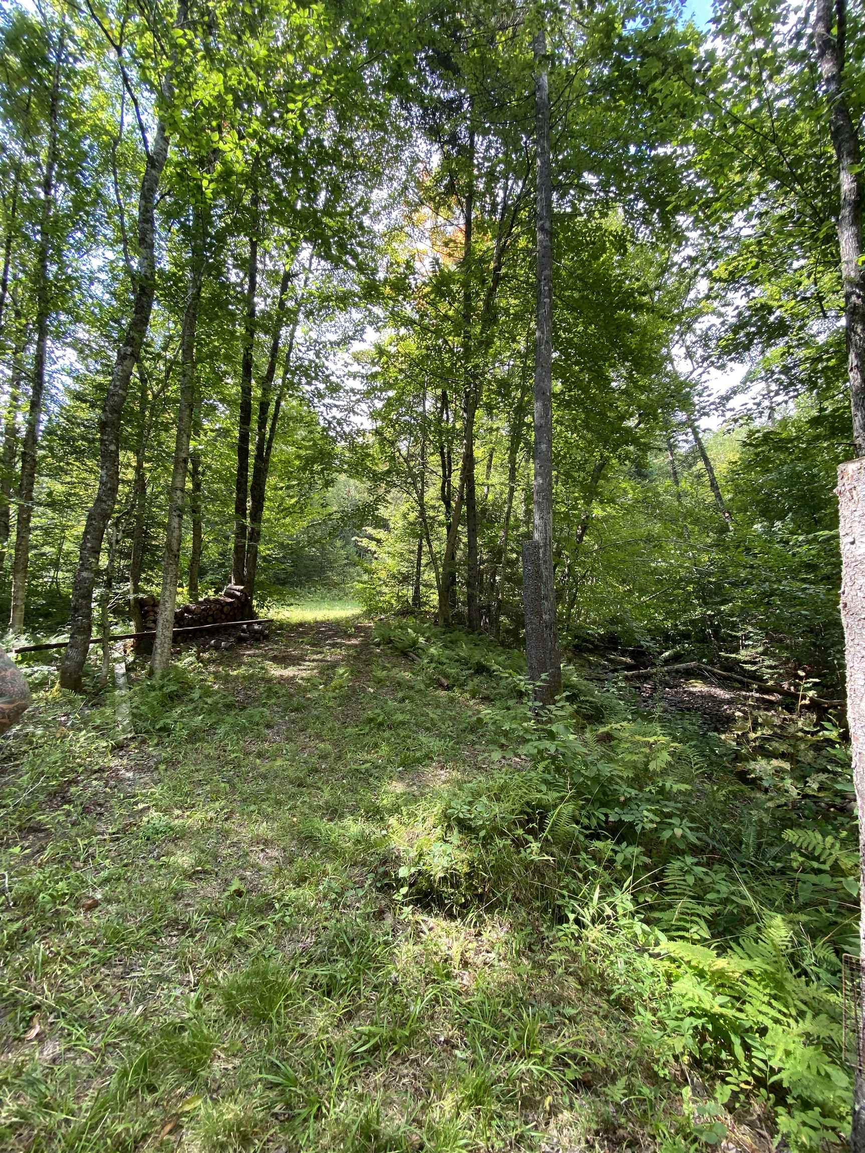 Lot # Jug Brook Road Marshfield, VT 05658 - Photo 4 of 7
