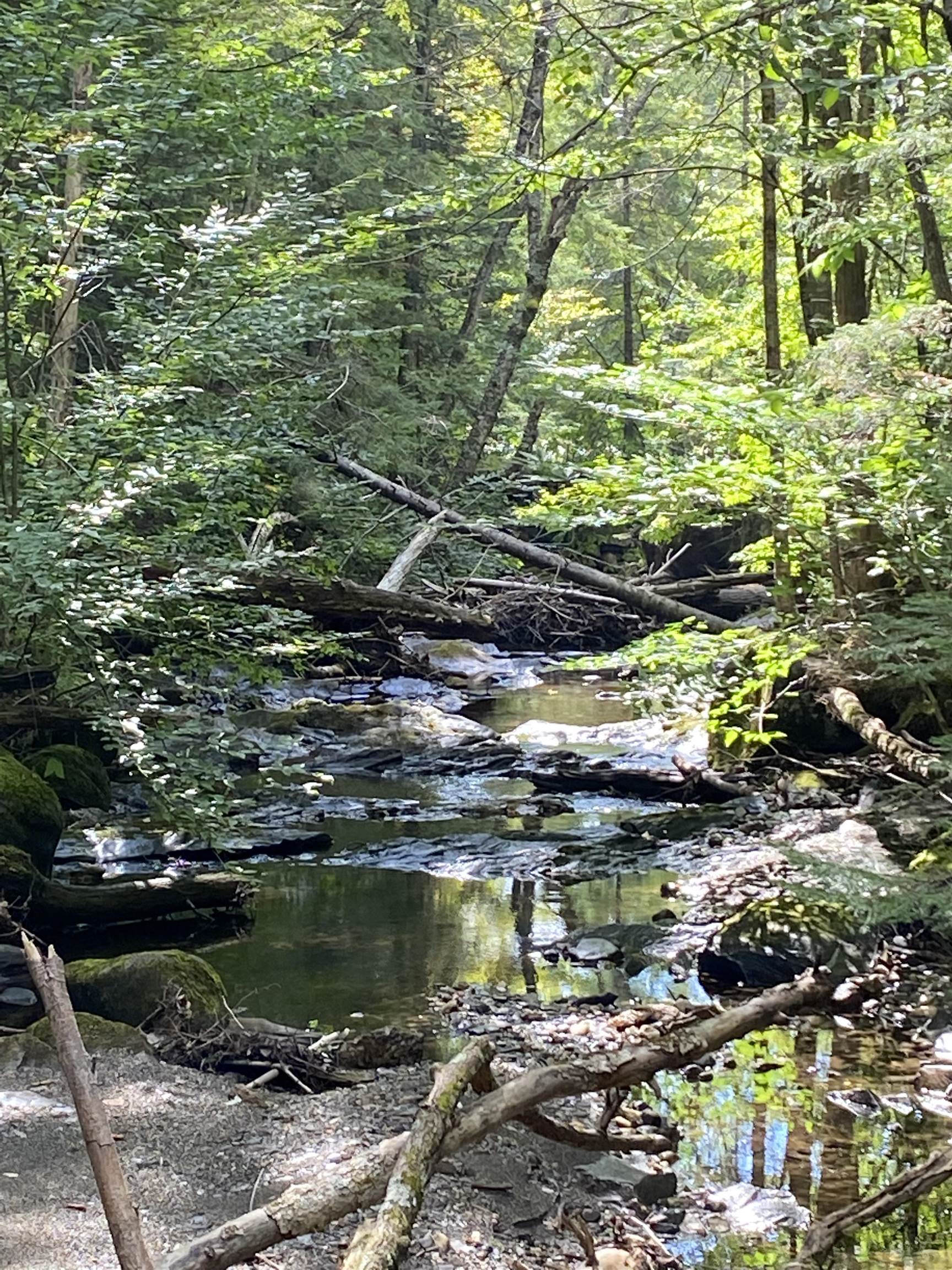 Lot # Jug Brook Road Marshfield, VT 05658 - Photo 5 of 7