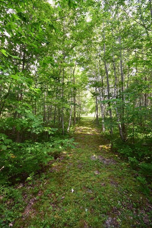 338 Military Road Winn, ME 04495 - Photo 30 of 35 Nice walking path to the Penobscot River