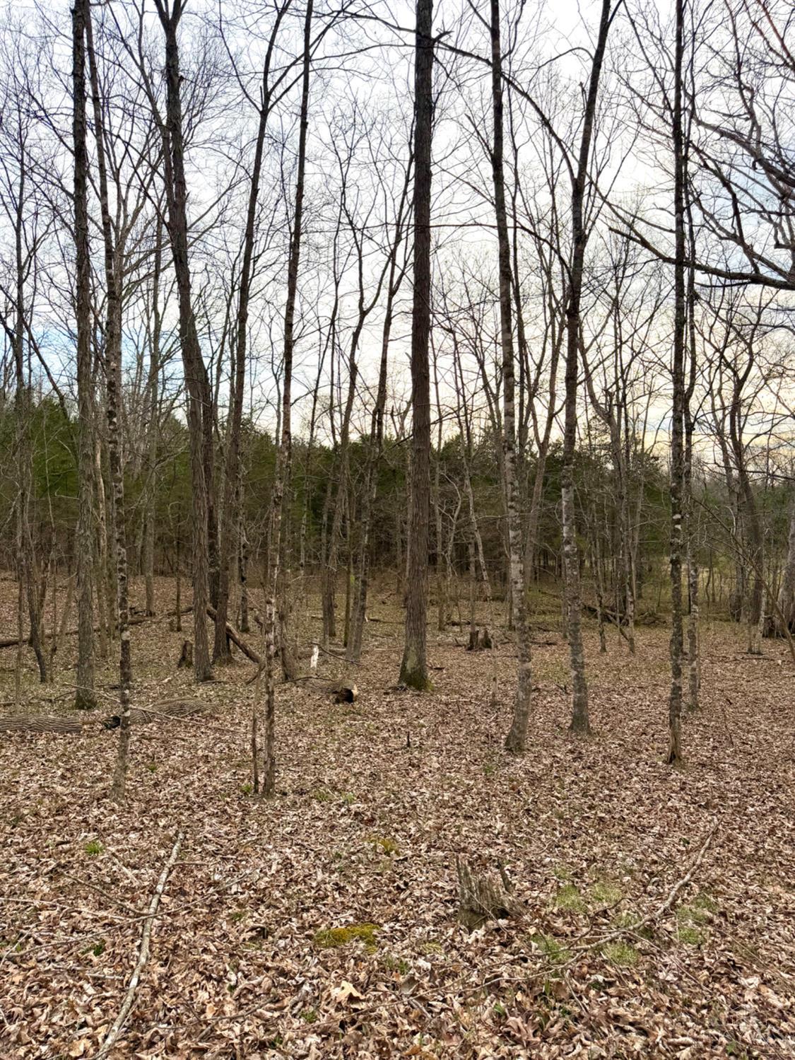 1600 Magee Jones Road Peebles, OH 45660 - Photo 77 of 91