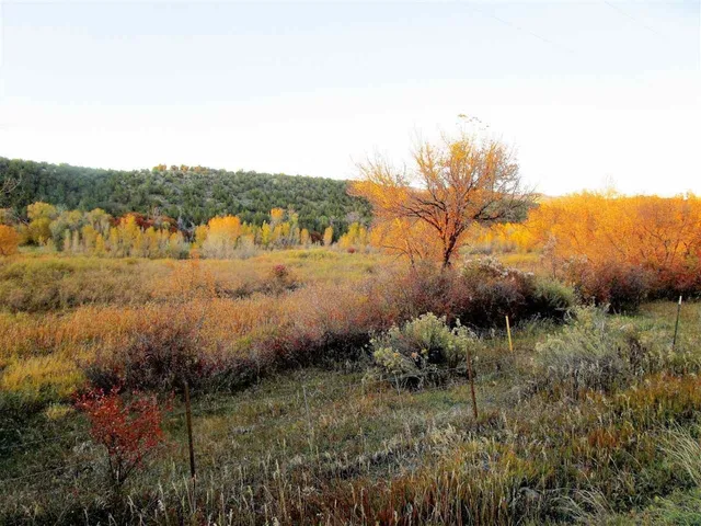 $200,000 | 330 Highway 330 East, Collbran, CO 81624