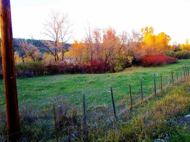 $200,000 | 330 Highway 330 East, Collbran, CO 81624