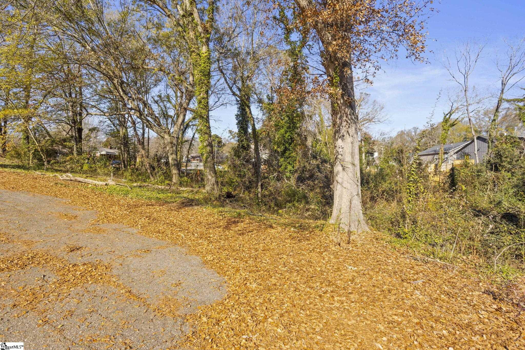 9 Quarter Court Greenville, SC 29607 - Photo 6 of 6