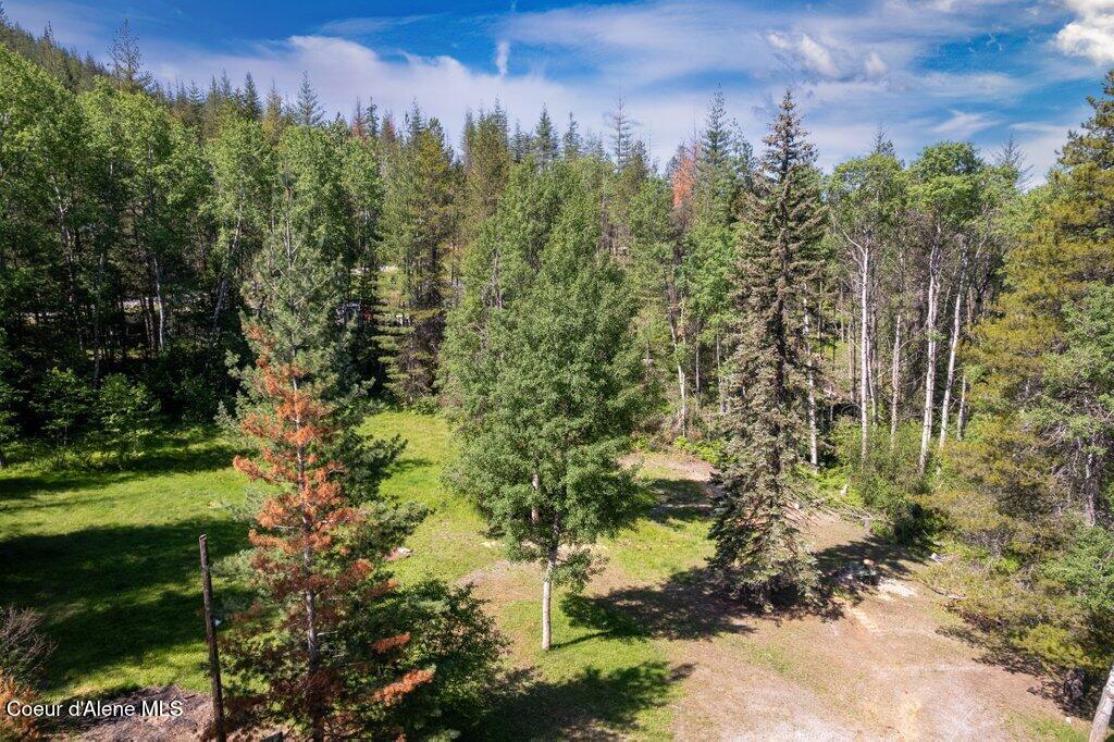 650 Lower Page Road Smelterville, ID 83868 - Photo 8 of 12 10433