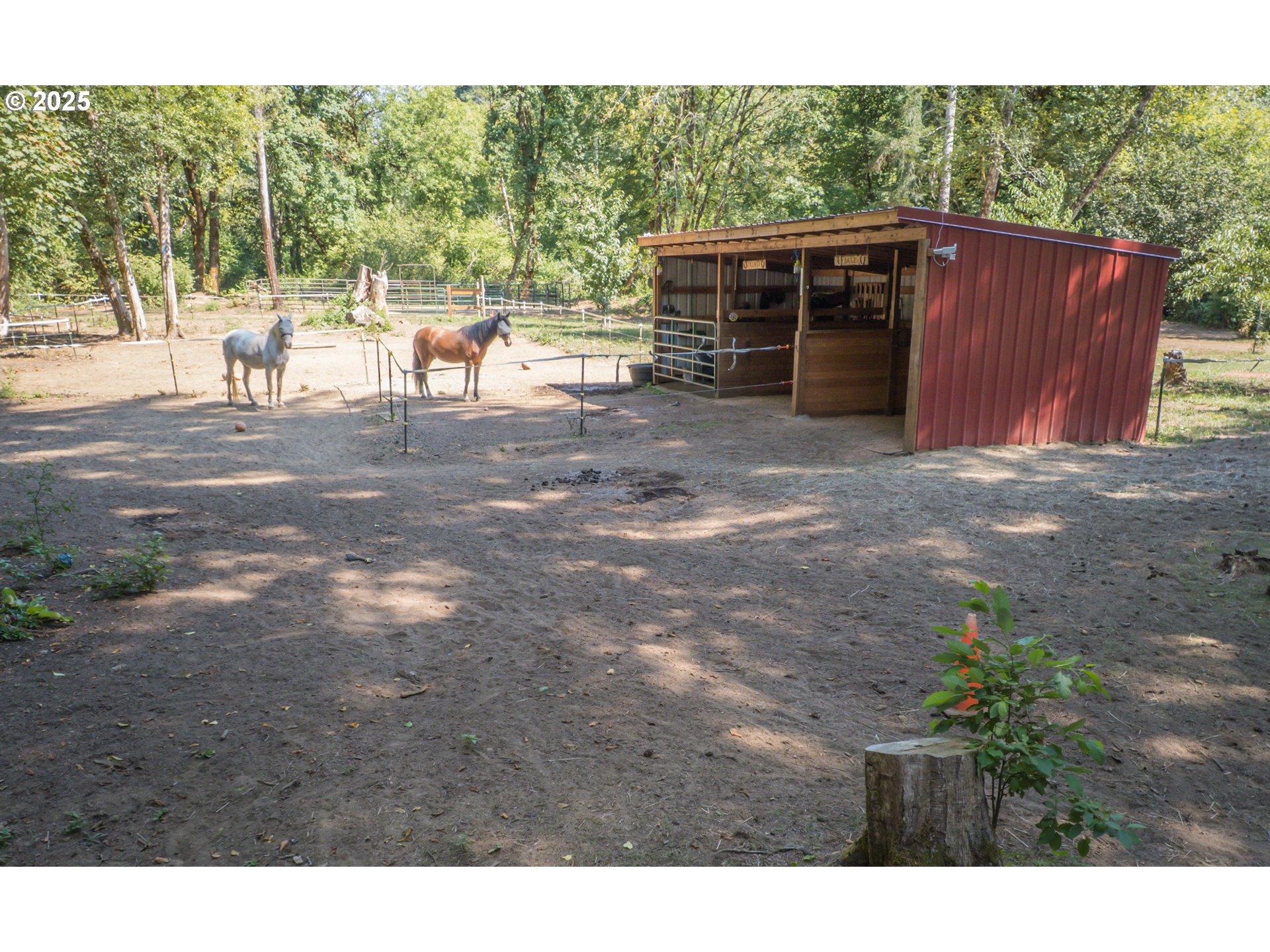 13904 Stagecoach Road Swisshome, OR 97480 - Photo 36 of 48 Stable