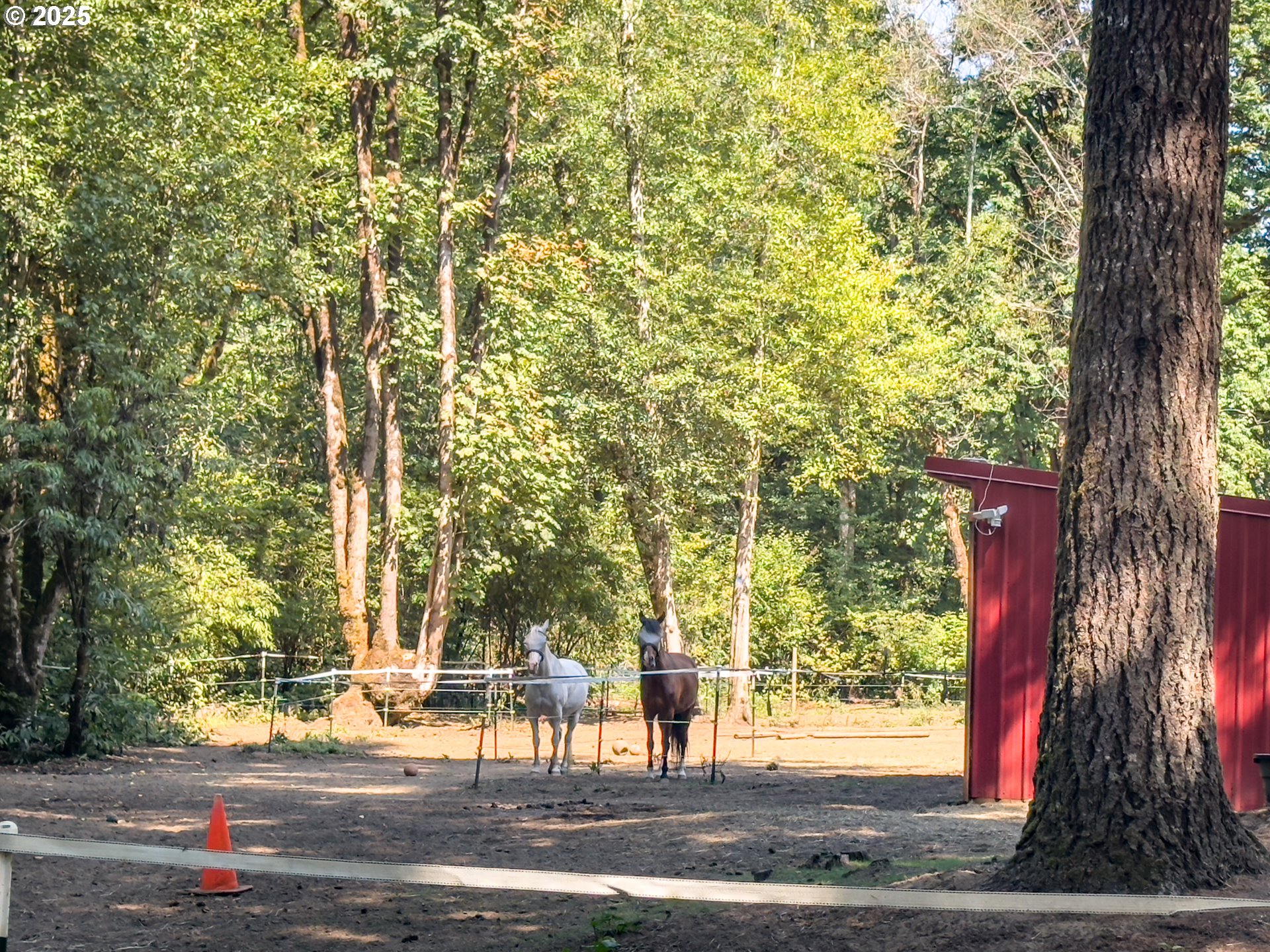 13904 Stagecoach Road Swisshome, OR 97480 - Photo 37 of 48