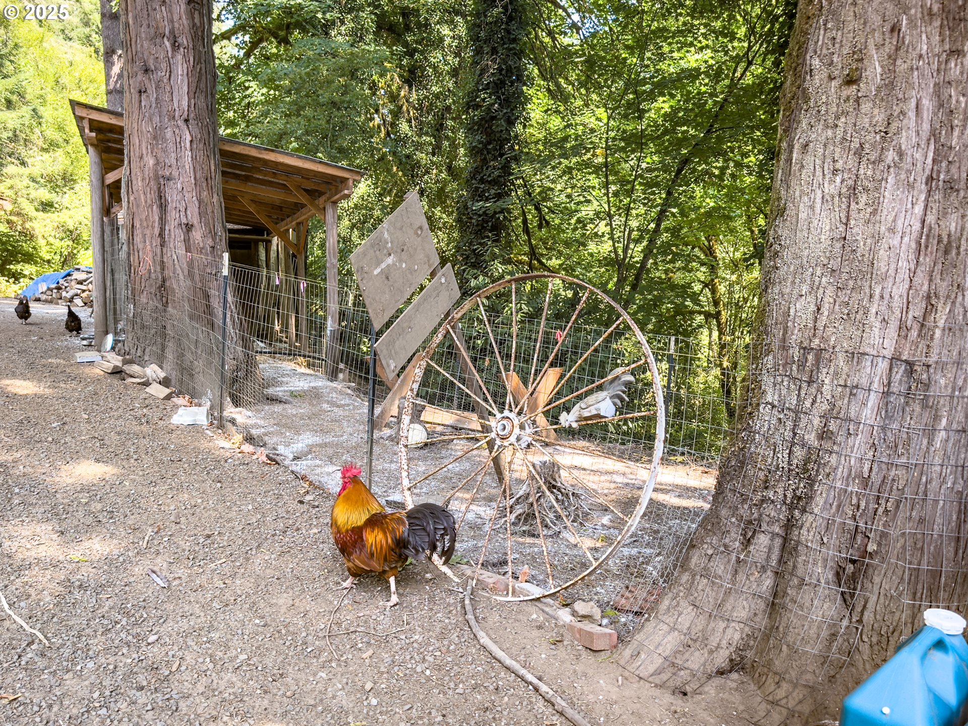 13904 Stagecoach Road Swisshome, OR 97480 - Photo 47 of 48 Coop