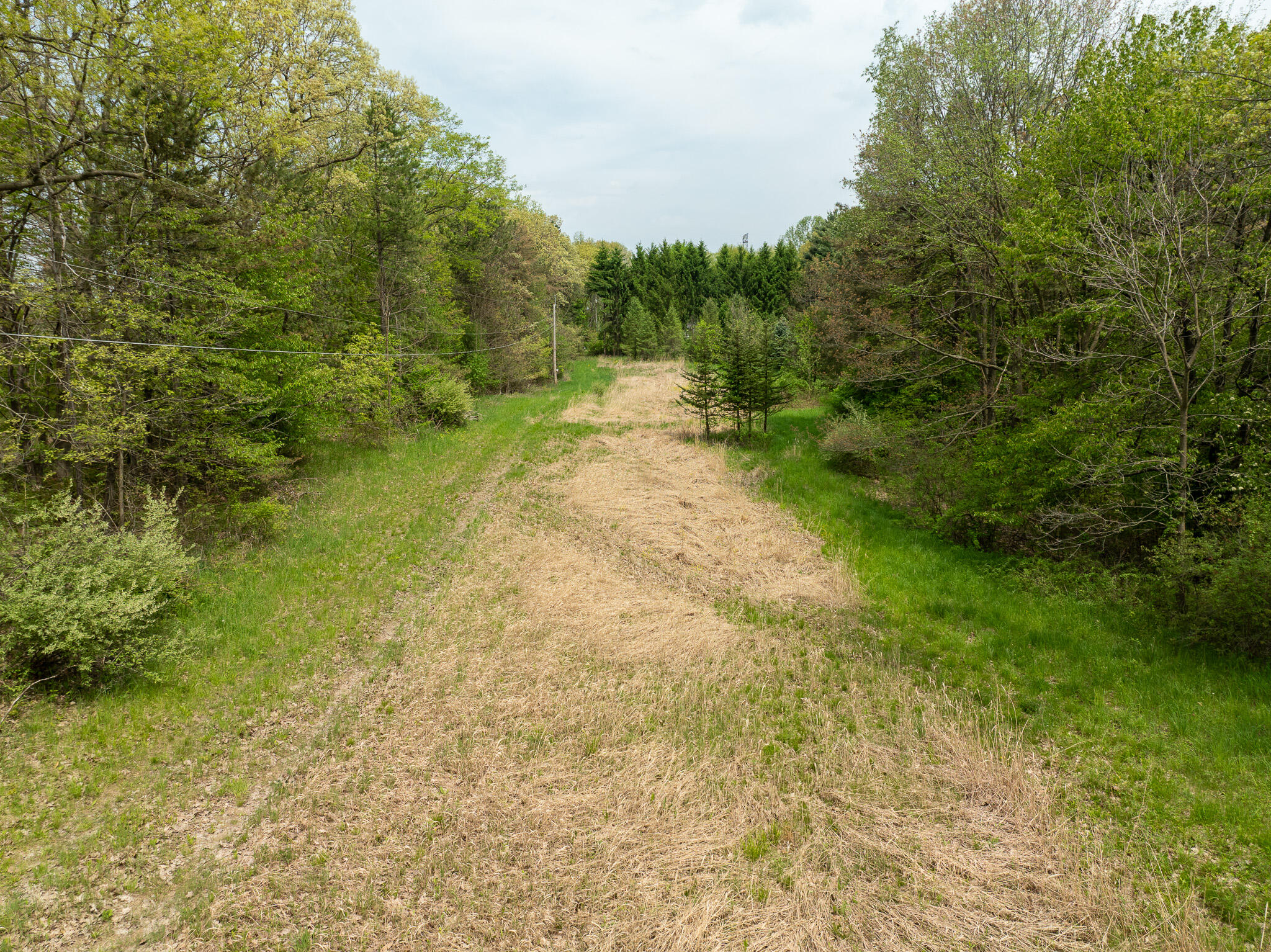Vl Vl Tipsico Lake Road Fenton, MI 48430 - Photo 14 of 21 DJI_0325