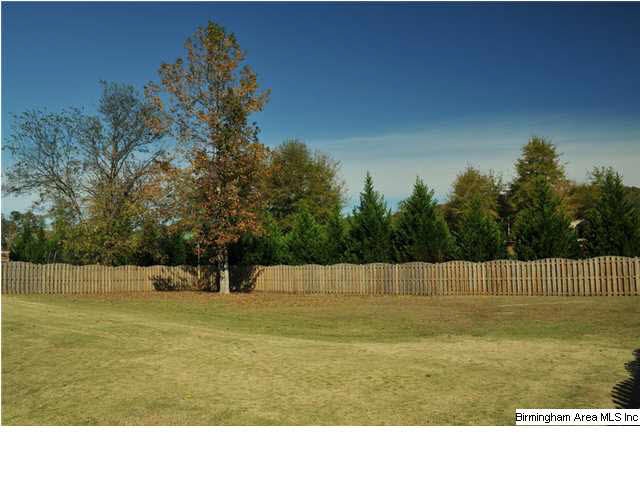 55 Greenbriar Lane Springville, AL 35146 - Photo 12 of 24 Gallery Image 12