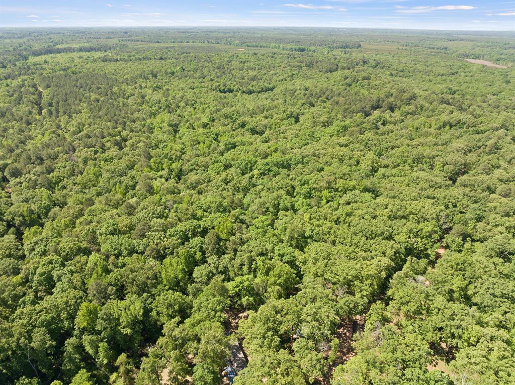307 Fish Trap Naples, TX 75568 - Photo 4 of 4 a view of a field with an outdoor space