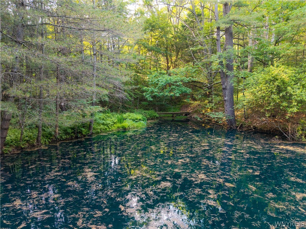 9173 Lyman Road Clarksville, NY 14727 - Photo 45 of 48 Pond
