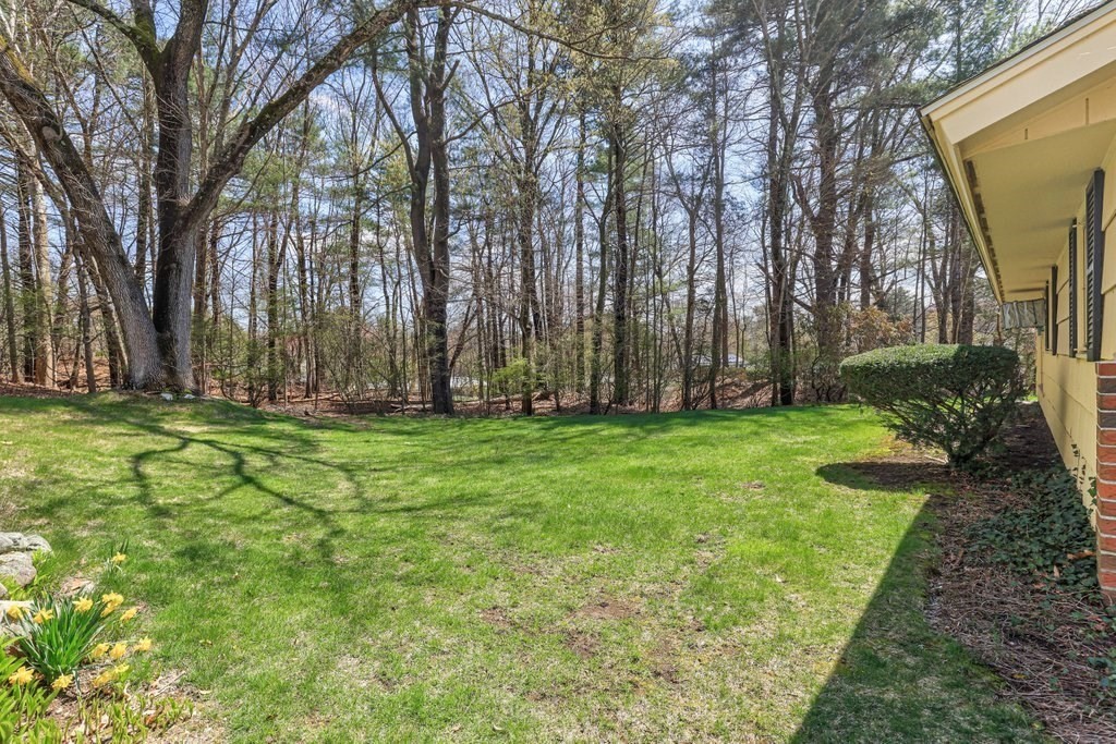 617 Edgell Road Framingham, MA 01701 - Photo 25 of 26 a view of backyard with green space