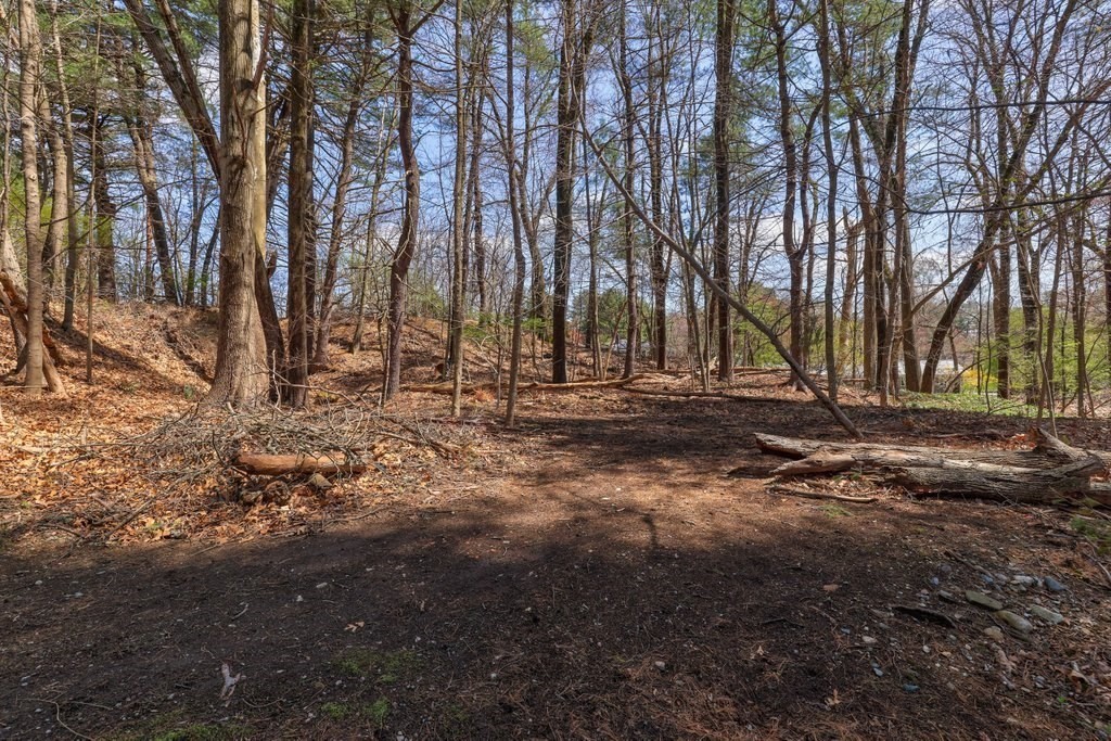 617 Edgell Road Framingham, MA 01701 - Photo 26 of 26 a view of outdoor space with deck and tree