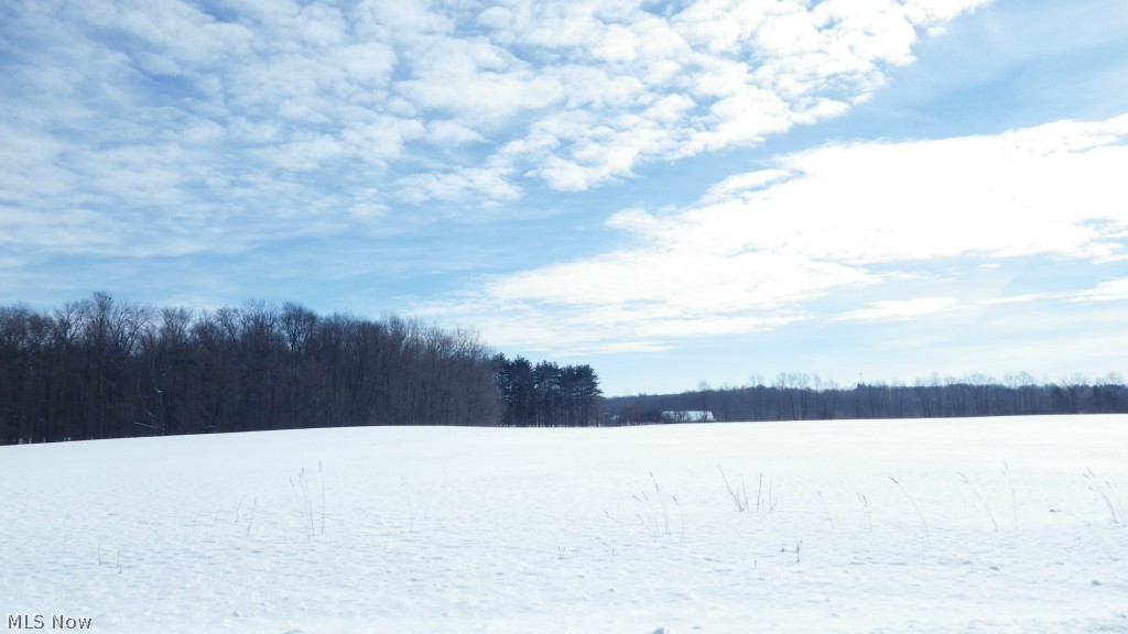Osmond Road Burton, OH 44021 - Photo 7 of 8