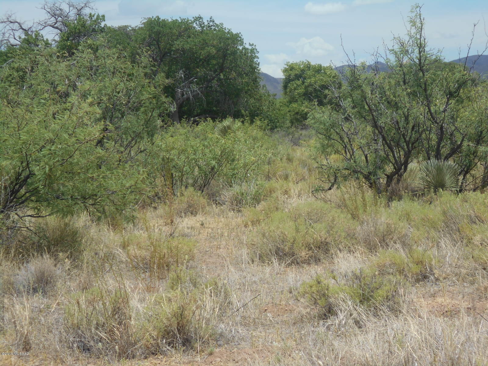East Walnut Trail Pearce, AZ 85625 - Photo 30 of 47
