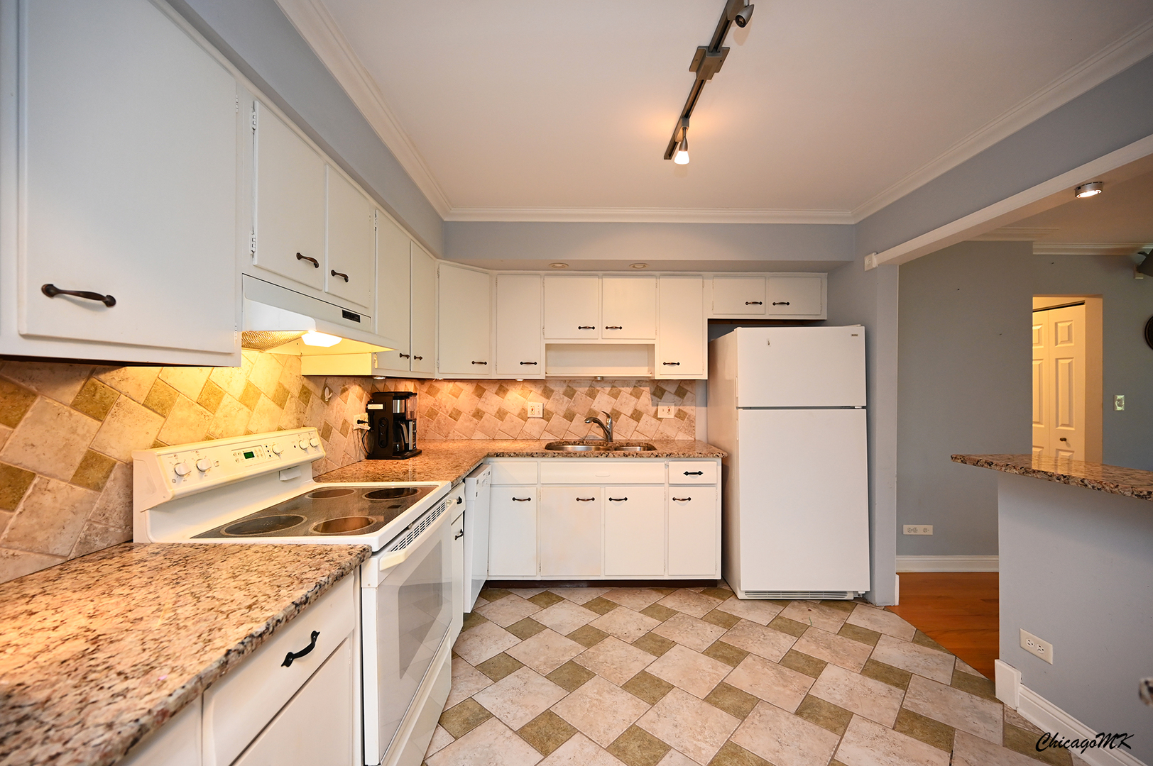 2234 South Goebbert Road, Unit 422 Arlington Heights, IL 60005 - Photo 9 of 27 a kitchen with a sink a refrigerator and cabinets