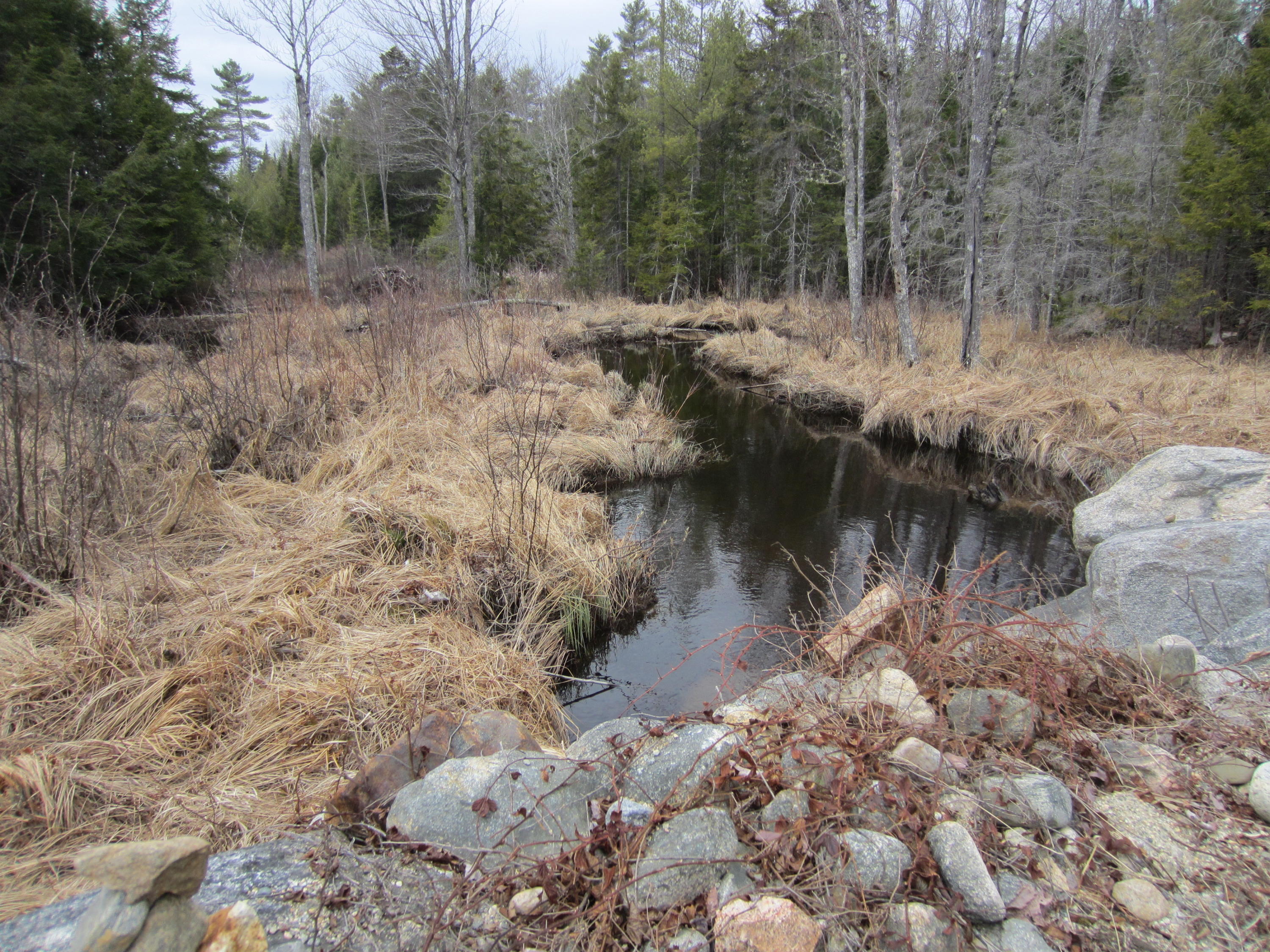 0 Brook Road Wiscasset, ME 04578 - Photo 7 of 7 IMG_4842