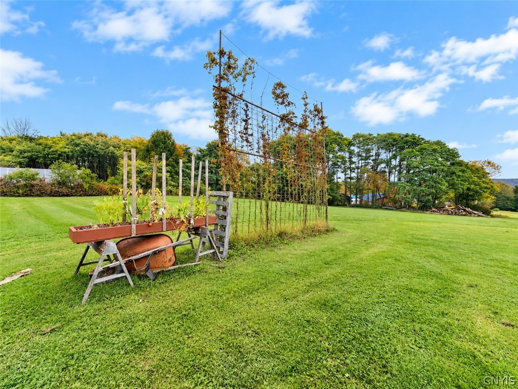 5165 Forbes Road Homer, NY 13045 - Photo 40 of 42 Gallery Image 40