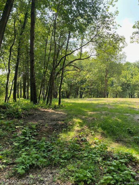7 Sleaford-parcel 7 - 2 Acres Road Howell, MI 48843 - Photo 29 of 45