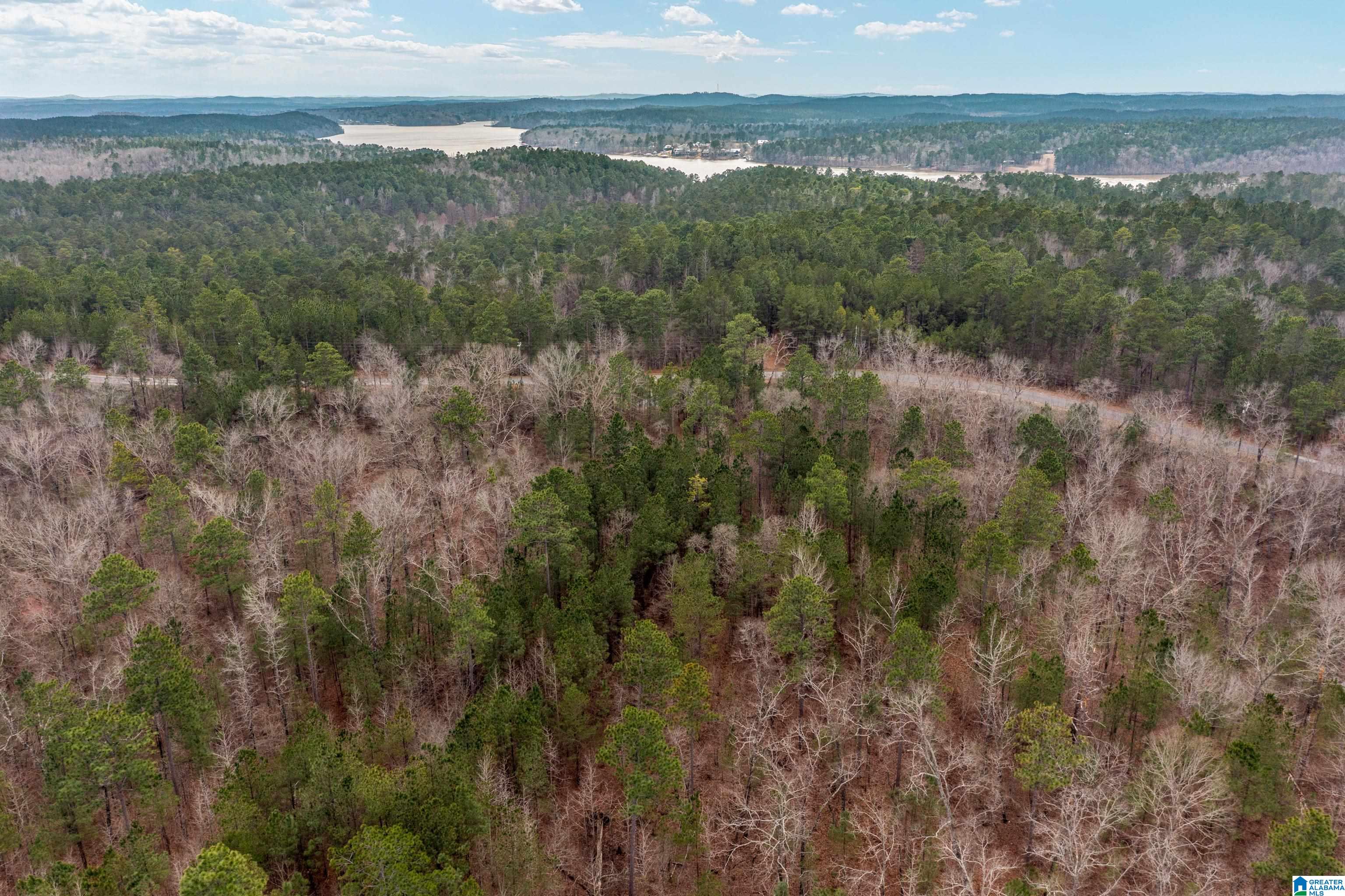 Shore Side Lane, Unit 213 Sylacauga, AL 35151 - Photo 1 of 11