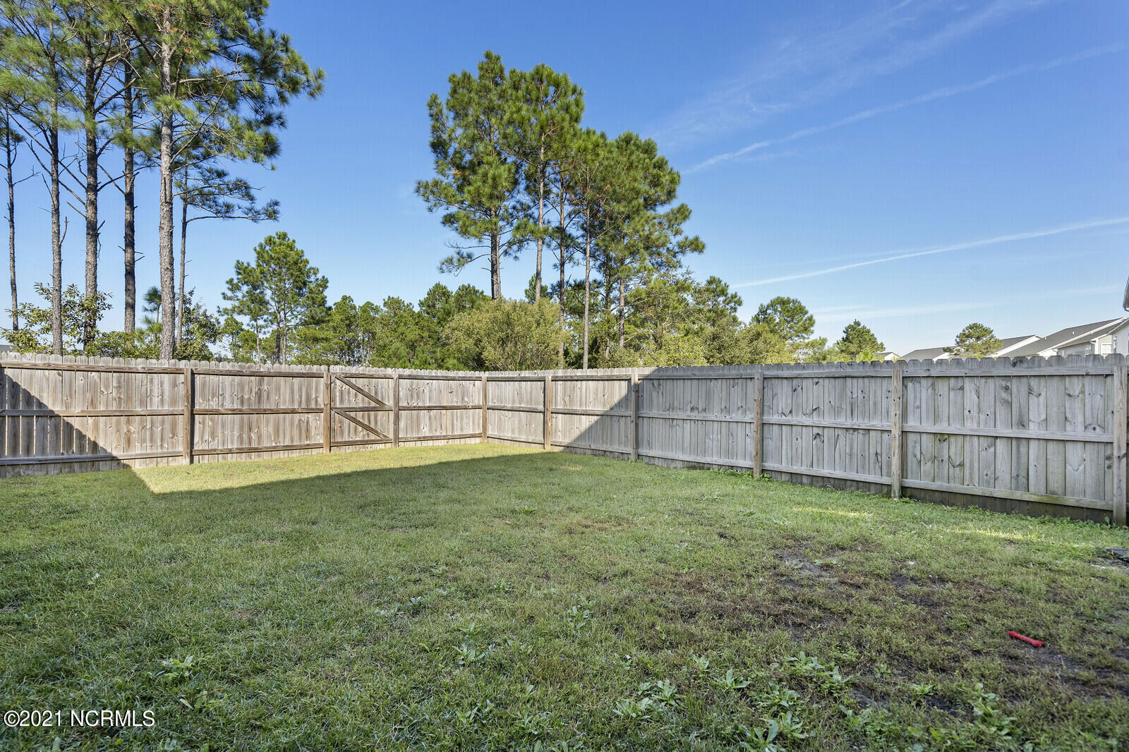 307 Frisco Way Holly Ridge, NC 28445 - Photo 41 of 51 Backyard
