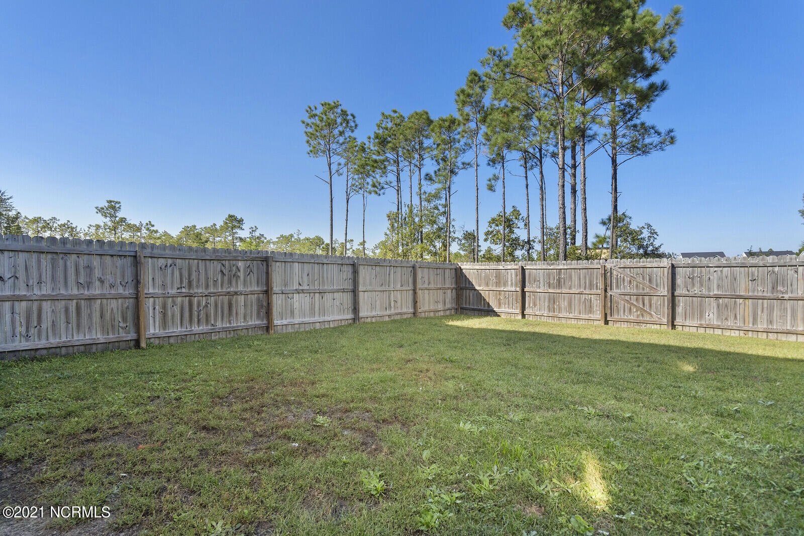 307 Frisco Way Holly Ridge, NC 28445 - Photo 42 of 51 Backyard