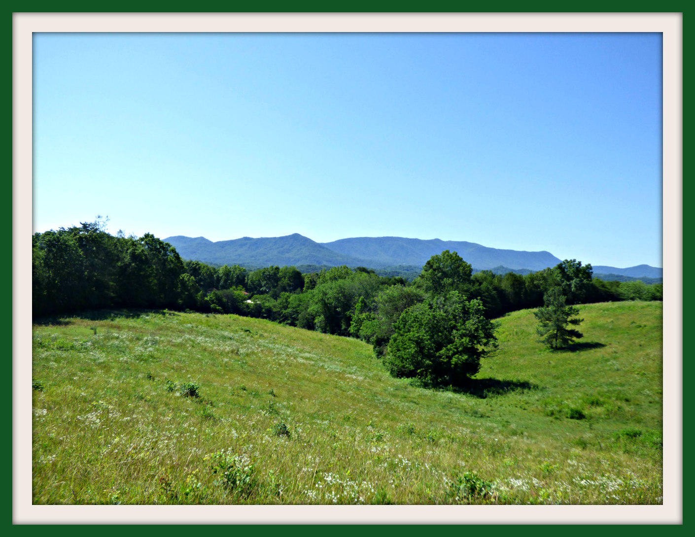 1 Swannsylvania Road Dandridge, TN 37725 - Photo 14 of 19 Gallery Image 14
