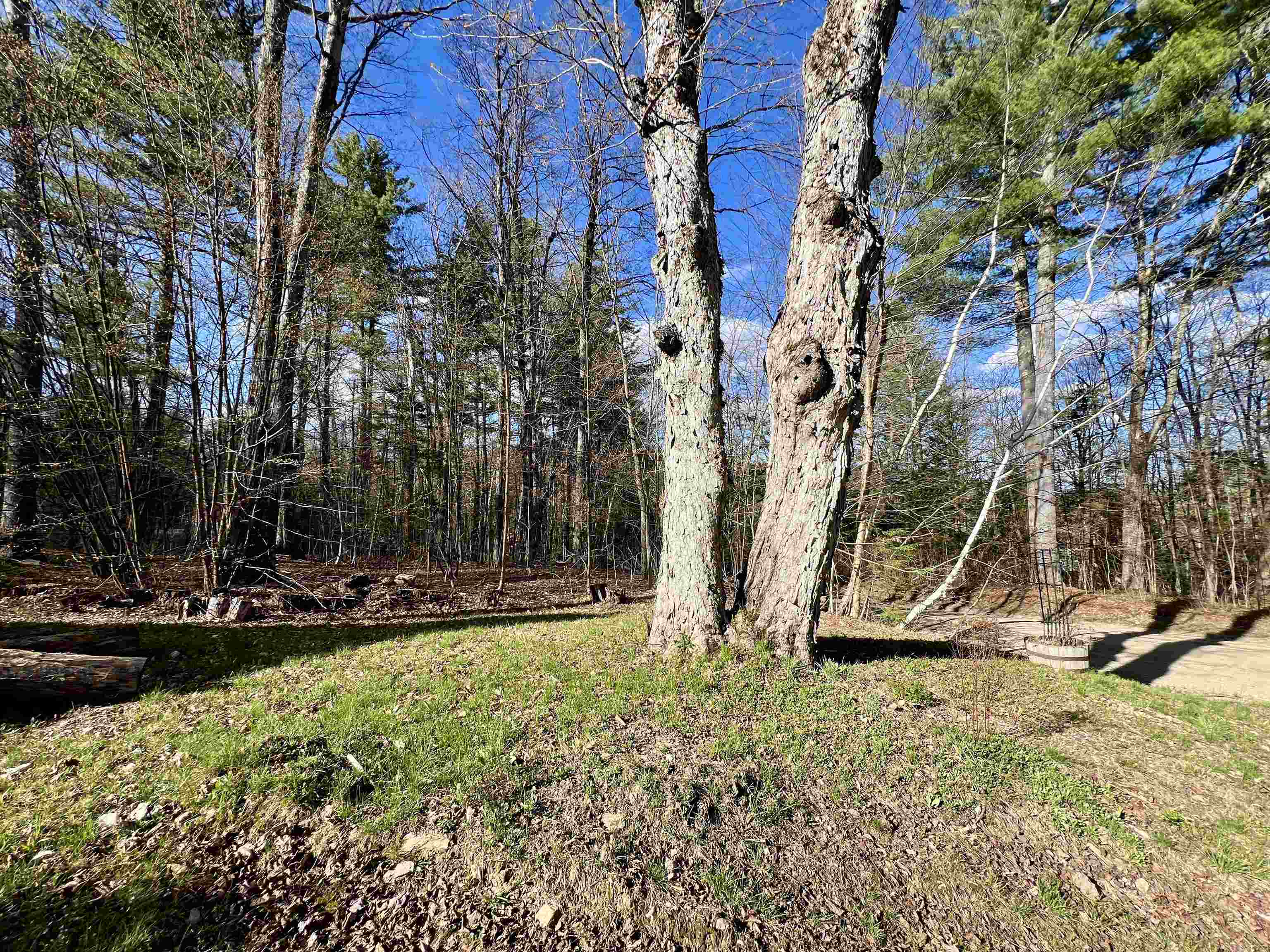 509 Silver Lane Wardsboro, VT 05360 - Photo 27 of 32