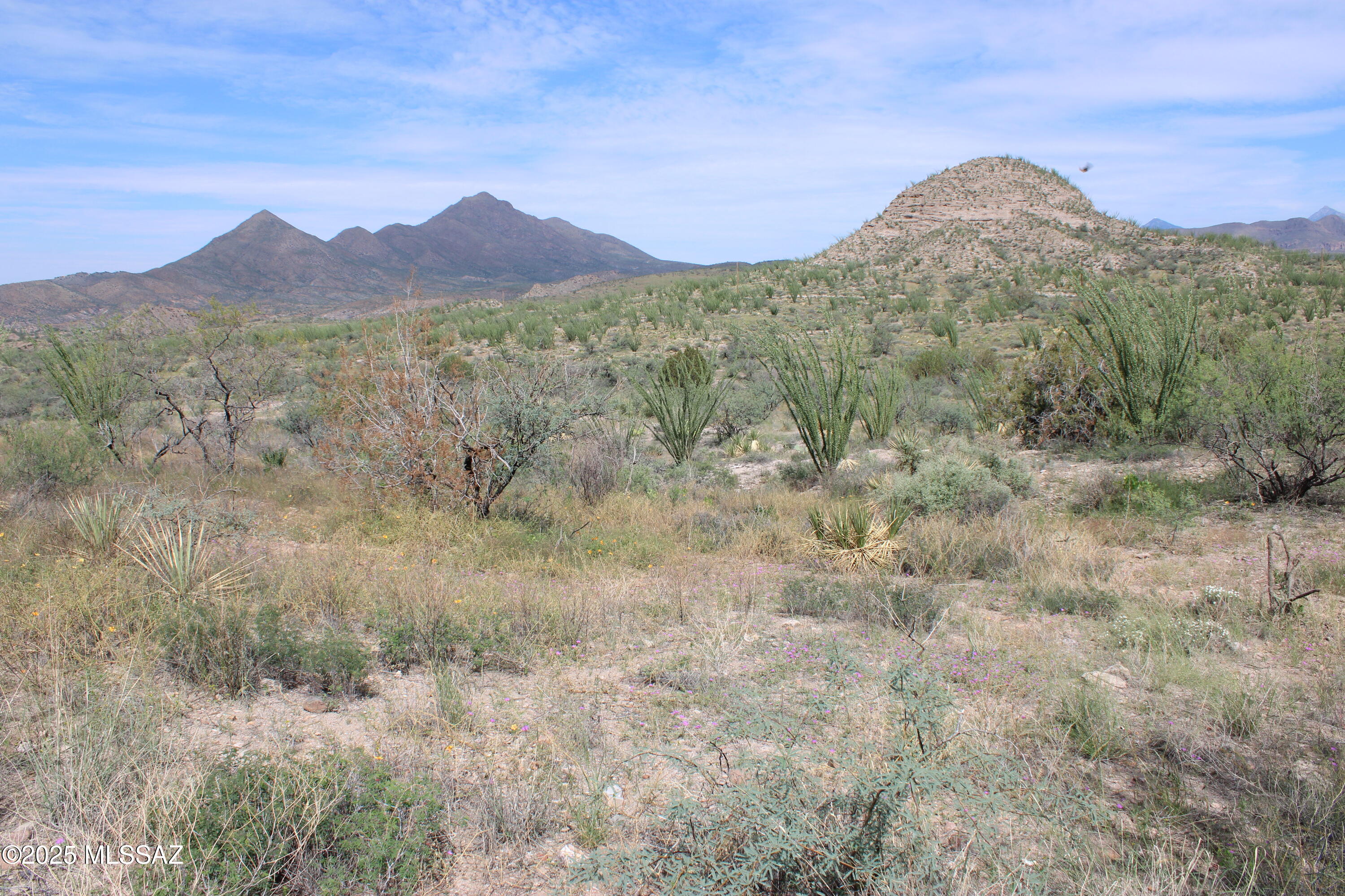1141 Paseo Molango, Unit 47 Rio Rico, AZ 85648 - Photo 2 of 7