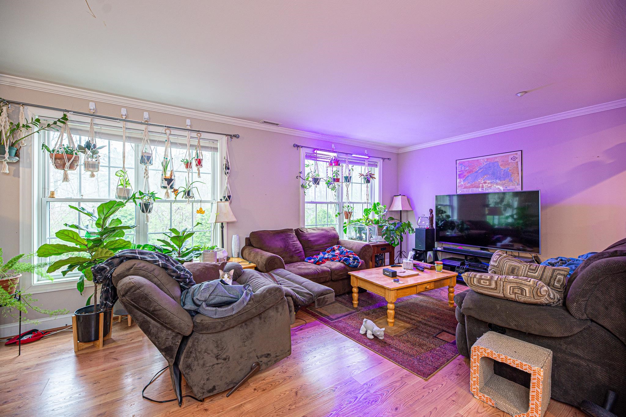 3 Maple Ridge Drive, Unit 221 Merrimack, NH 03054 - Photo 3 of 26