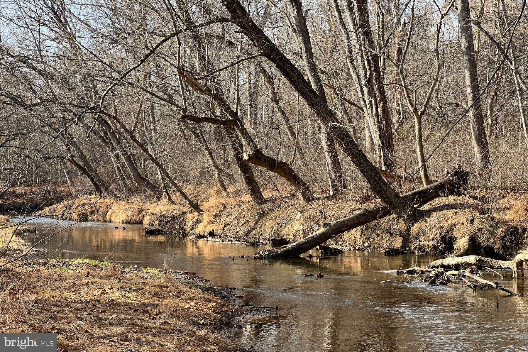 19 Post, Unit AVENUE 203 Laurel, MD 20707 - Photo 30 of 32 a view of a lake with trees