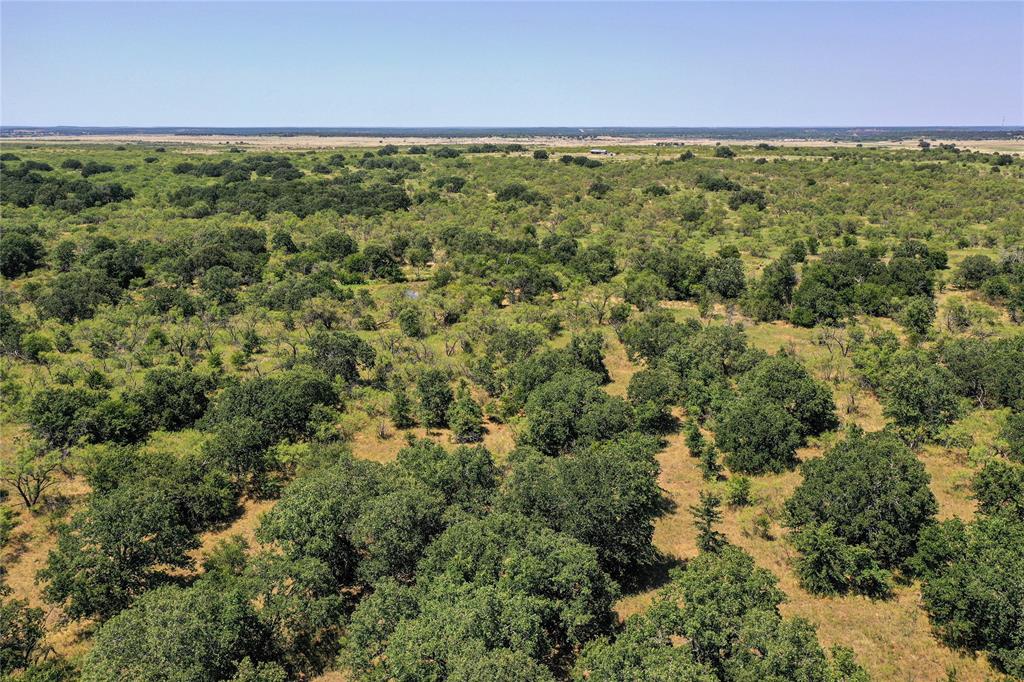 131.7-acres Roney Road Jacksboro, TX 76458 - Photo 24 of 40 view of a yard with an outdoor space