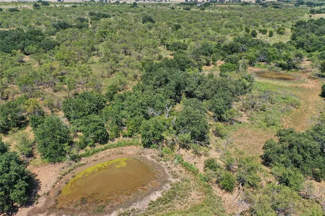a view of a lake view and covered with trees