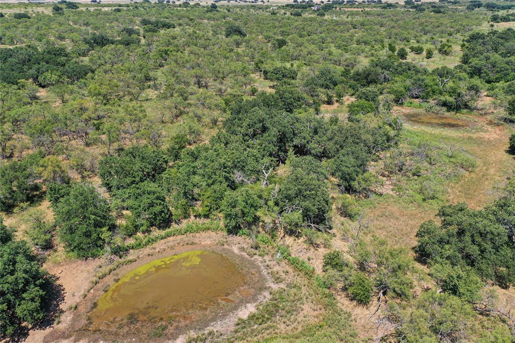 131.7-acres Roney Road Jacksboro, TX 76458 - Photo 27 of 40 a view of a lake view and covered with trees