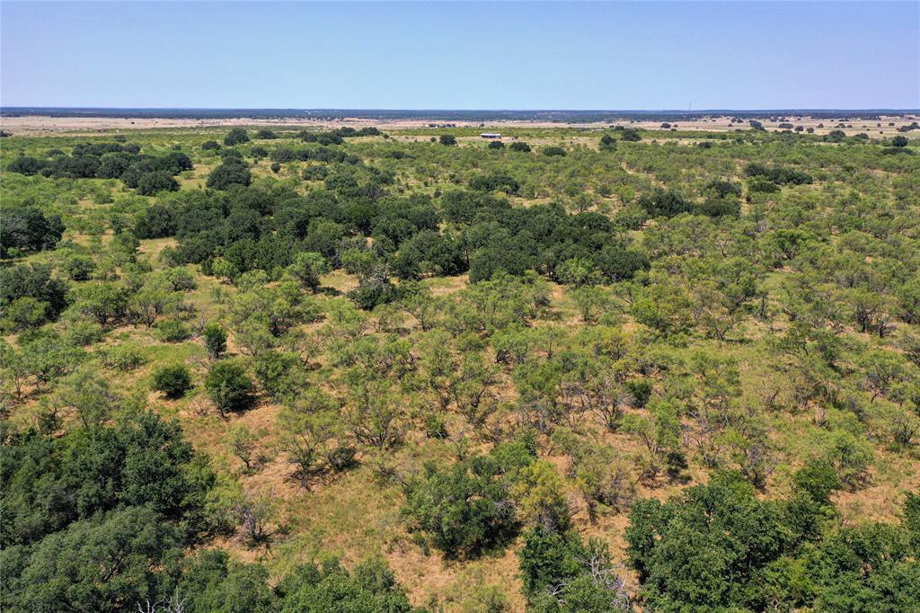 131.7-acres Roney Road Jacksboro, TX 76458 - Photo 28 of 40 a view of a field with an trees and grass