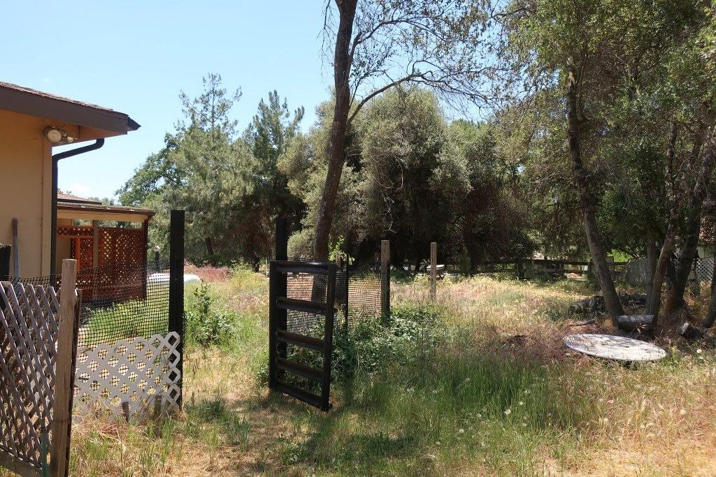 47101 Modoc Road Coarsegold, CA 93614 - Photo 7 of 8 Gallery Image 7
