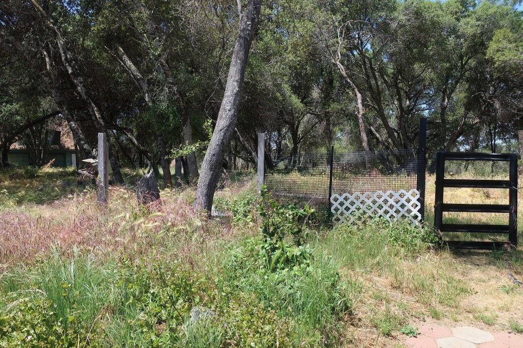 47101 Modoc Road Coarsegold, CA 93614 - Photo 8 of 8 Gallery Image 8