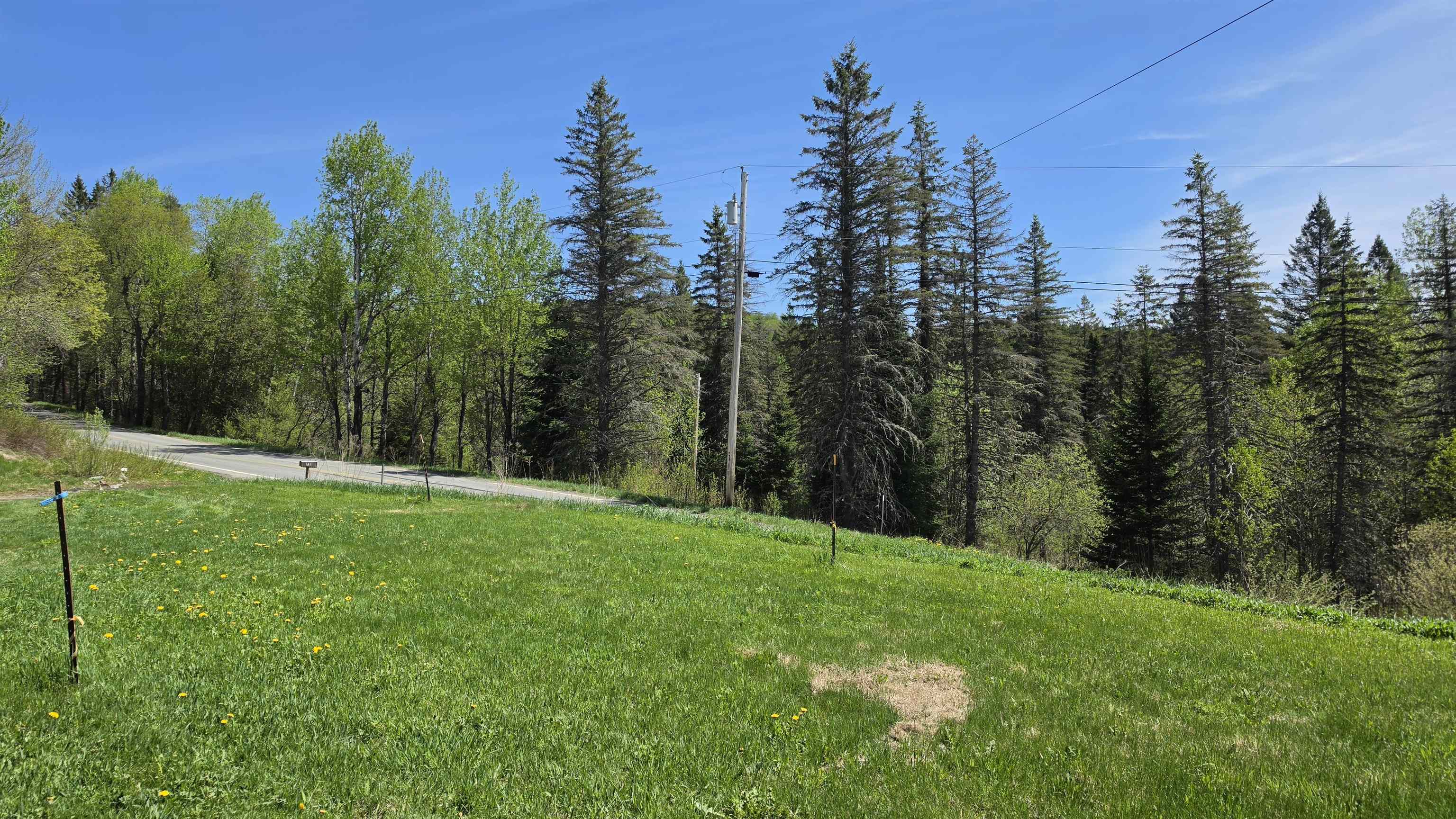 731 Hollow Road Stewartstown, NH 03576 - Photo 2 of 39