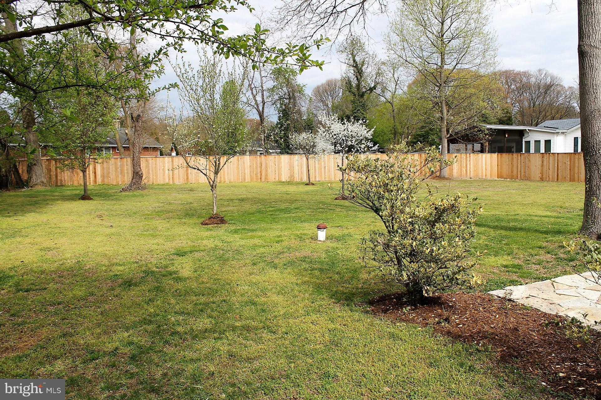 642 Riverside Drive Pasadena, MD 21122 - Photo 12 of 17 Exterior (Rear)