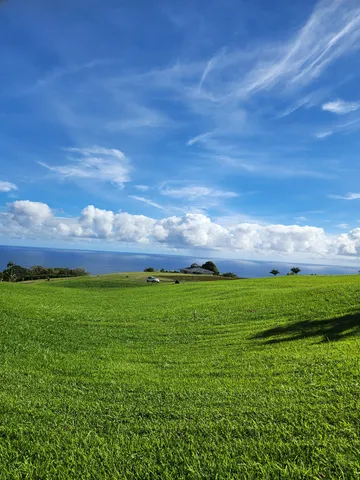 a view of a big yard with a big yard