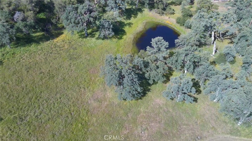 4952 Hidden Springs Road Mariposa, CA 95338 - Photo 58 of 63