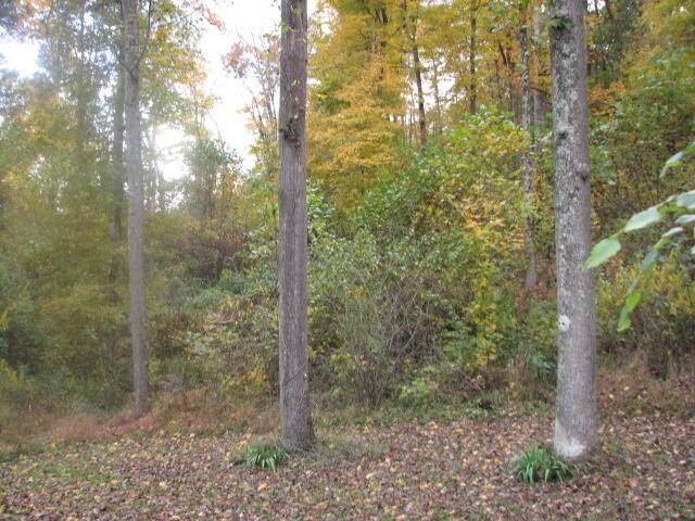 4165 Alten Road Sugar Grove, OH 43155 - Photo 11 of 78 IMG_4759