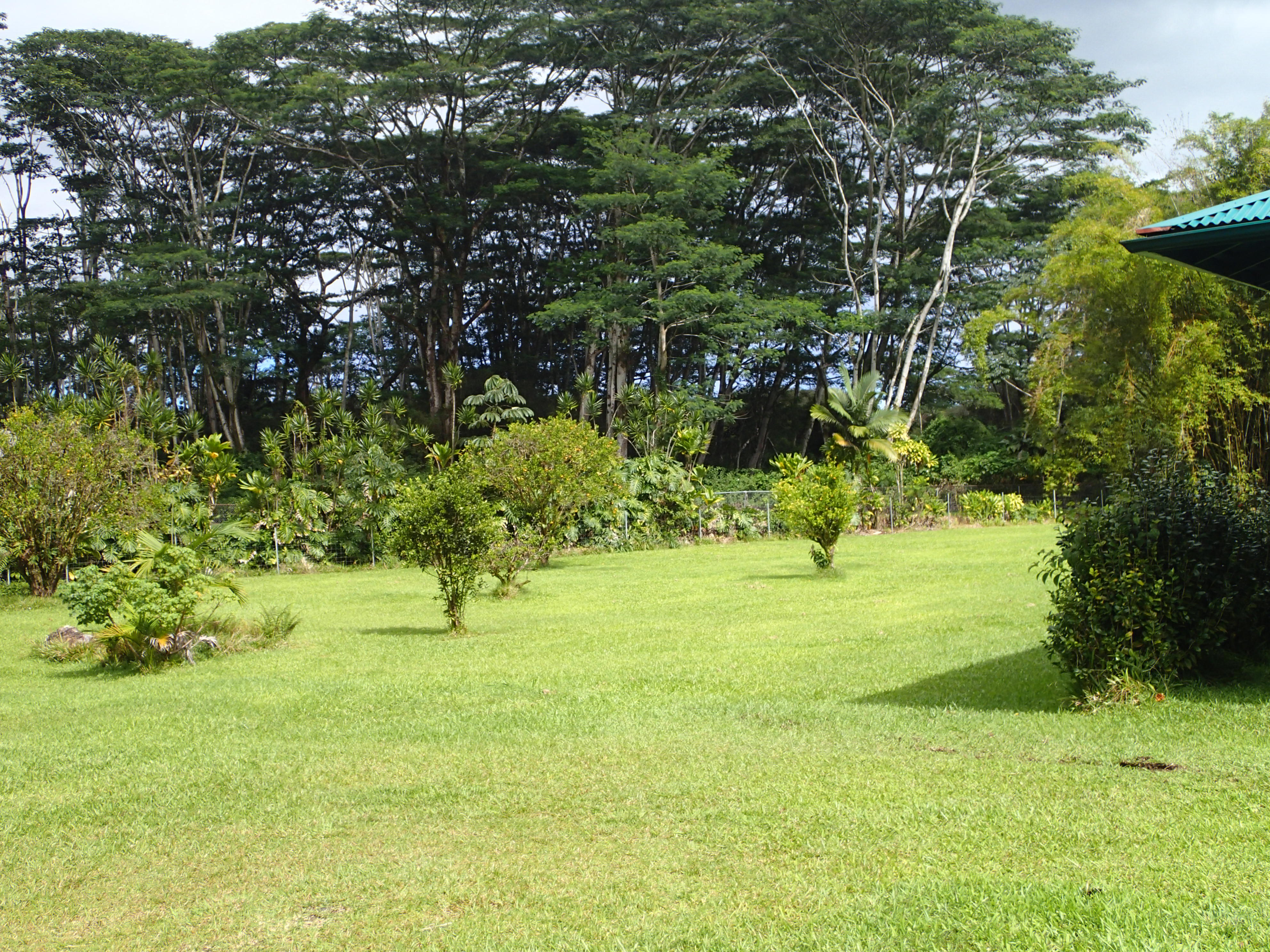 17-4100 Kukui Camp Road Kurtistown, HI 96760 - Photo 22 of 25 a view of yard with green space