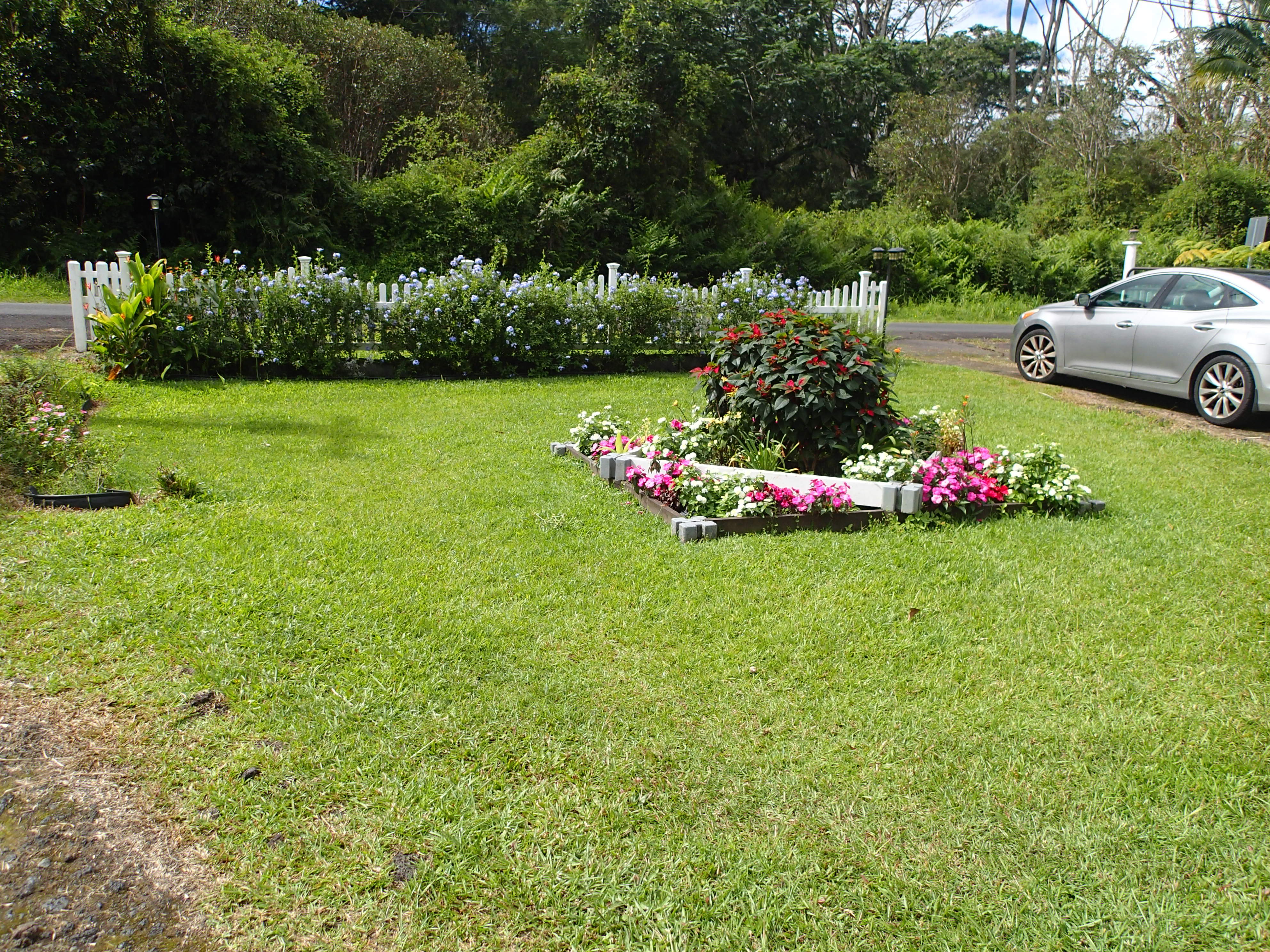 17-4100 Kukui Camp Road Kurtistown, HI 96760 - Photo 3 of 25 a view of garden with flowers and trees