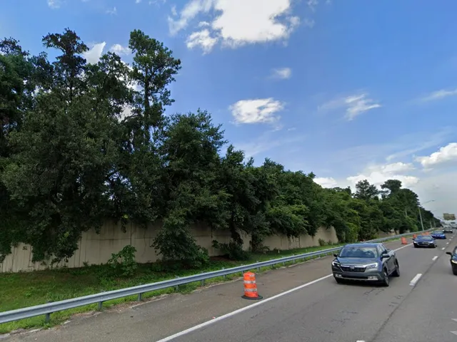 a view of a yard with plants and trees