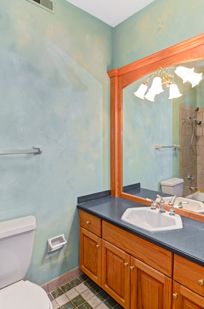 601 Ambriance Drive Burr Ridge, IL 60527 - Photo 41 of 47