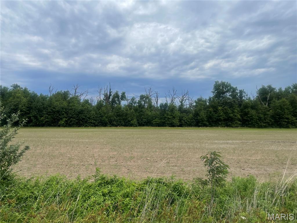 Xxx Louse Creek Road Patoka, IL 62875 - Photo 6 of 7