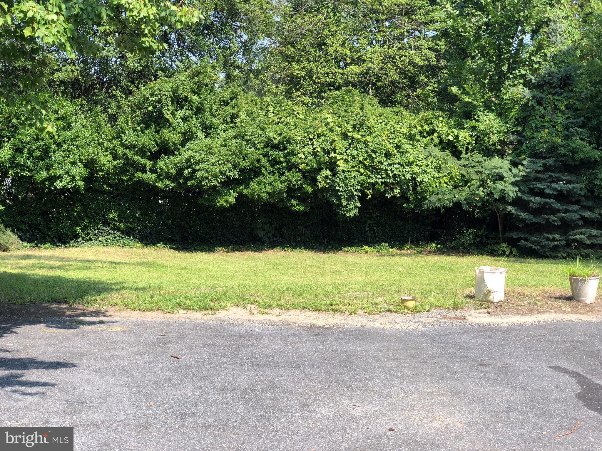 10005 Riggs Road Adelphi, MD 20783 - Photo 26 of 32 a view of yard with green space