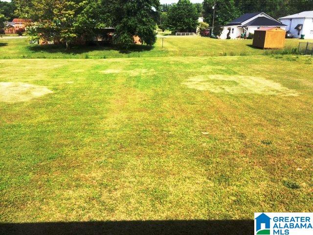 9 Fieldview Drive Oneonta, AL 35121 - Photo 3 of 41